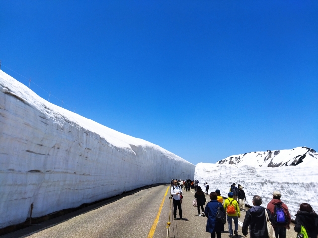 富山県雪の大谷