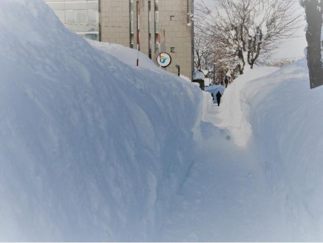 "秋田暮らし”初めの一歩の大雪の写真